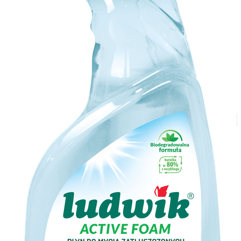 Ludwik do zatłuszczonych powierzchni 750 ml Active Foam Fresh